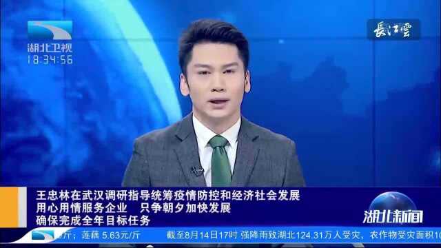 王忠林在武汉调研指导统筹疫情防控和经济社会发展