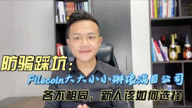 防骗踩坑:Filecoin大大小小琳琅满目公司,各不相同,新人该如何选择