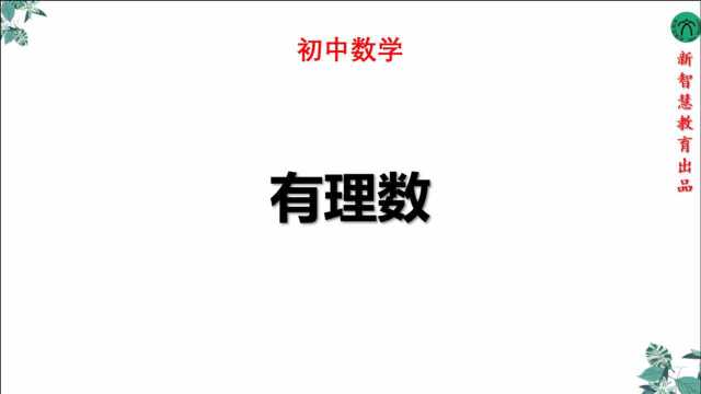 初中七年级数学有理数课程讲解全国通用人教版青岛版沪科版