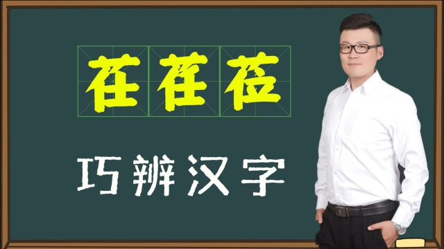 知识真解:汉字“茌荏莅”有关系吗?别再傻傻的分不清了