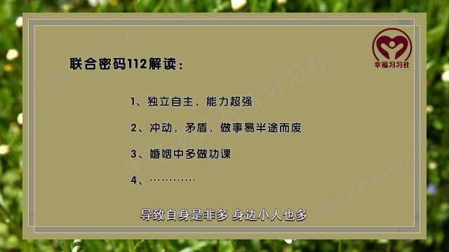 生命数字密码解读,生命密码81组联合密码解析之112