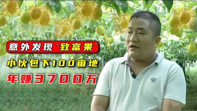 江西农村小伙意外发现“致富果”立马包下100亩地,如今赚3700万