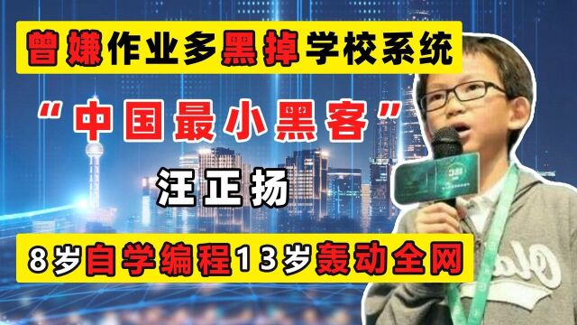 00后再出人才!中国最小黑客汪正扬:8岁自学编程,12岁创建网站