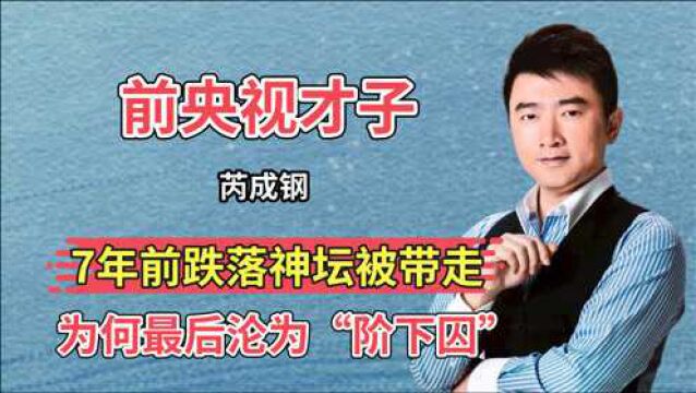 “央视才子”芮成钢:从阶下囚到重获新生,刑满释放后再惹争议!