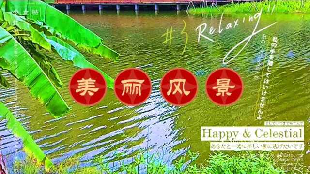 东莞松山湖美丽景色看着风景景听着歌?