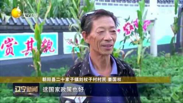 陆国斌:把“美”画在大地(上)