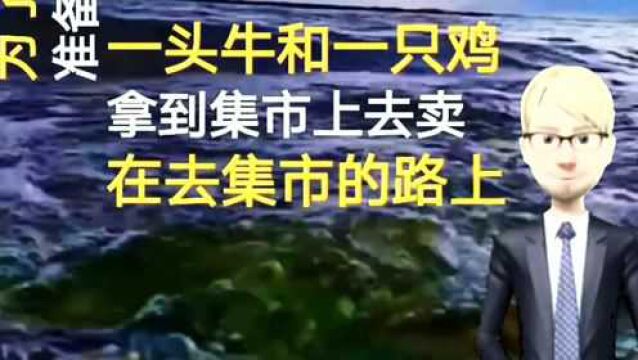 老人过河的故事,面对两难的选择时候,应该怎么做?看懂受益一生