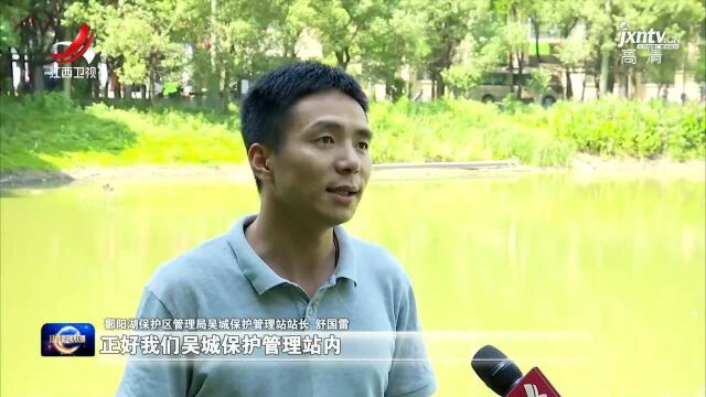 鄱阳湖保护区:智慧建设 三方联动 织密候鸟保护网