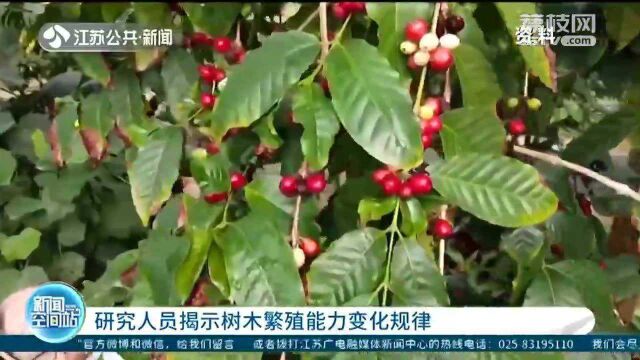 研究人员揭示树木繁殖能力变化规律 对保护、恢复森林有重要意义