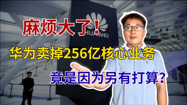 华为核心业务遇到困难,去年贡献256亿,今年却面临被卖掉