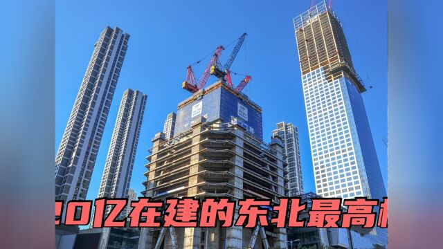 沈阳在建的国内第三高楼,高568米花费120亿,为何建了8建仍未竣工