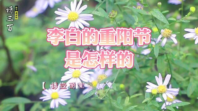 诗三百诵读版 李白 九日 今日云景好 水绿秋山明