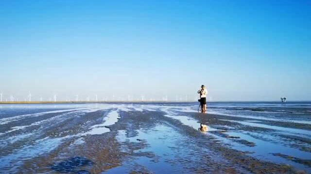 生物多样性|震撼人心,千头猛禽集结过境南通!