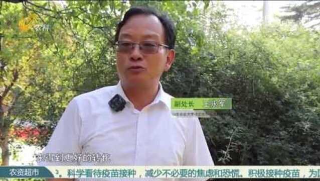 校企联合,种业强省!山东农业大学和山东种业集团展开合作