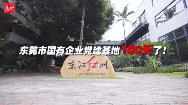 视频|东莞市国有企业党建基地100天了!