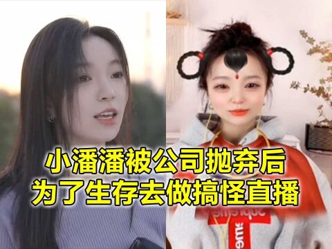 被公司抛弃后,小潘潘唱歌风格大变,口臭夫妻们却混得风生水起?