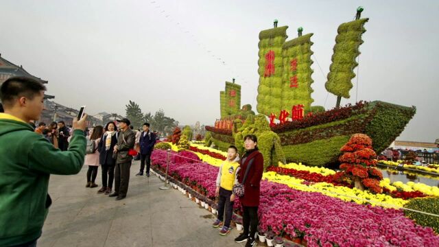 开封菊展让人大跌眼镜 花型犹如倒扣“花圈”