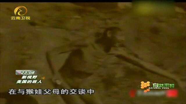 专家亲眼目睹“野人猴娃”,他断言:就是猿与现代人的中间产物