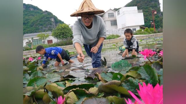 村里的香水莲塘禾花鱼真多,茗程和小朋友一起抓鱼,都不想回家了#看点趣打卡计划