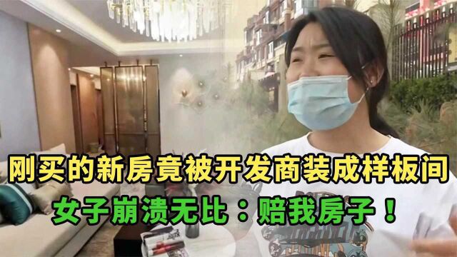 新房被开发商给装修成了样板间,女子崩溃不已:你赔我的房子!