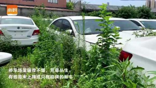 小时暗访 | 闹哪出?或废弃或“待业”,数千辆新能源网约车扎堆杭州郊外