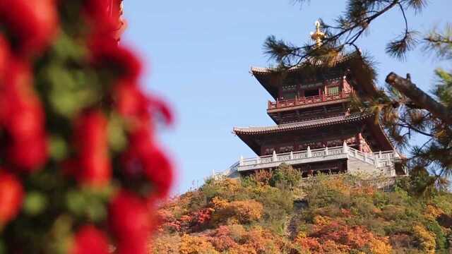 太山景区深秋美景,山明水净夜来霜,数树深红出浅黄