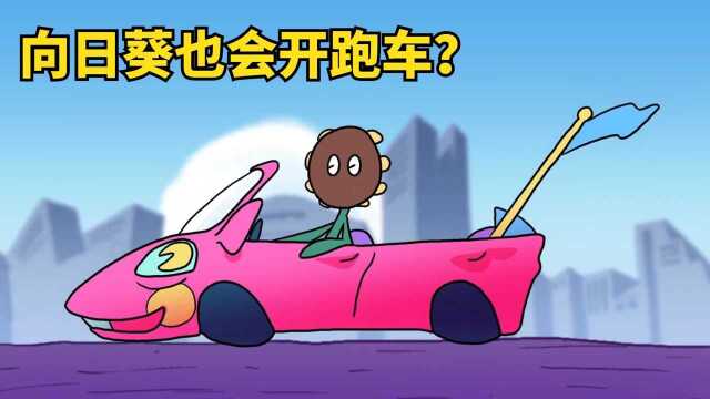 向日葵追求品质生活,一段舞蹈意外走红网络,却发现一直活在梦中