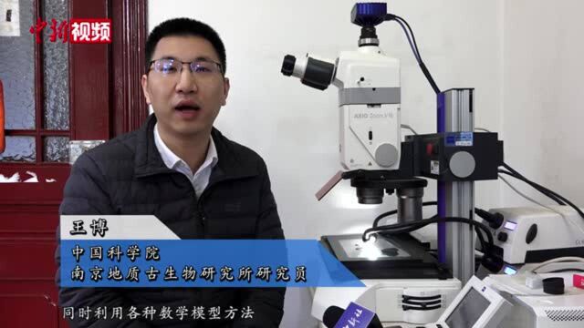 中外科学家共建全球甲虫化石形态数据库