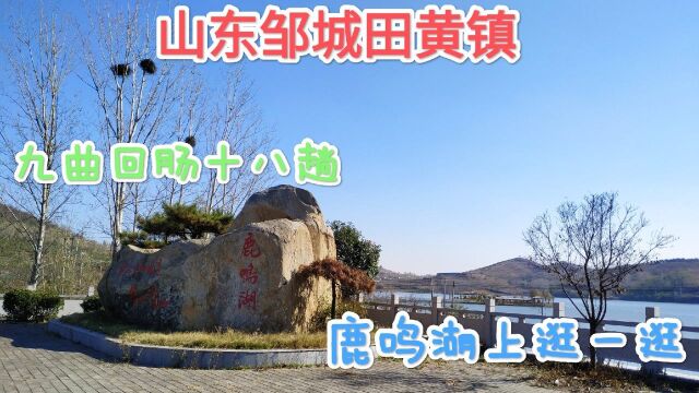 山东邹城田黄镇:九曲回肠十八趟!鹿鸣湖上逛一逛.鹿鸣湖上有个岛,名字它叫聚仙岛!