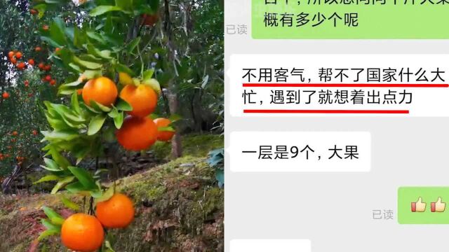 太感动了!高校研究生买橘子做实验,卖家一个举动让网店“爆单”