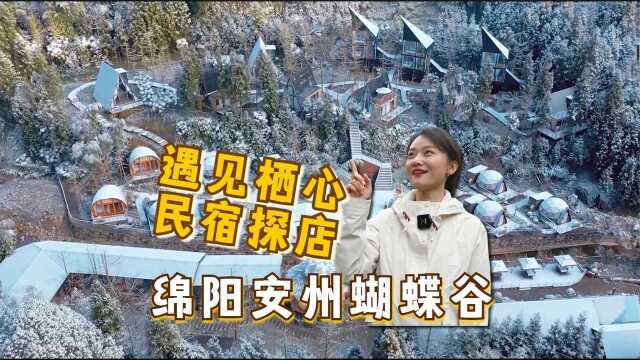 绵阳周边游,实拍安州遇见栖心民宿,睡在森林里的感觉真好