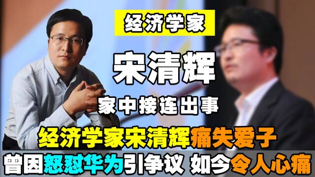 经济学家宋清辉痛失爱子,曾因怒怼华为引争议,儿子去世令人心痛