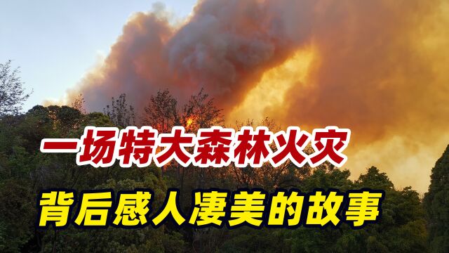 1987年黑龙江大兴安岭特大森林火灾,背后一段感人凄美的故事!