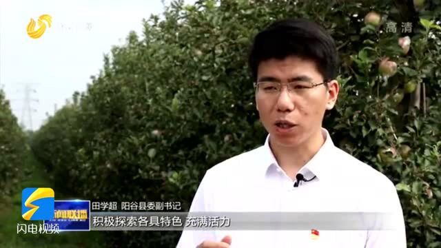 《山东新闻联播》聚焦新凤祥:以产业振兴带动乡村振兴