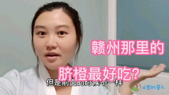 江西赣州18个县,那个县脐橙最好吃?赣州人为了卖脐橙开始内乱!