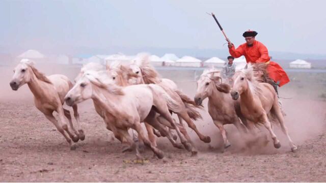 纯音乐动感重低音(劲爆DJ版:铁血丹心)塞外奔驰 策马扬鞭