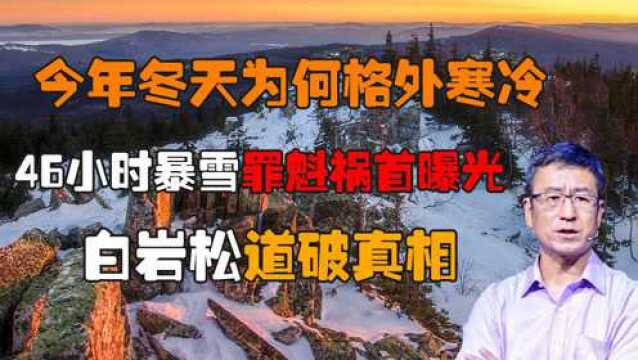 今年冬天为何格外寒冷?46小时暴雪罪魁祸首曝光,白岩松道破真相