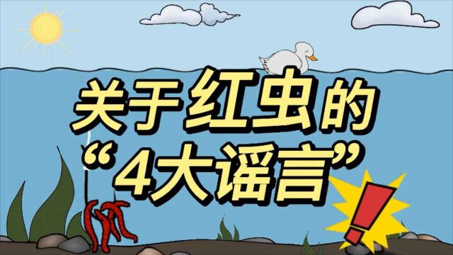 揭开红虫的“4大谣言”,钓友需留意,不要再被忽悠了