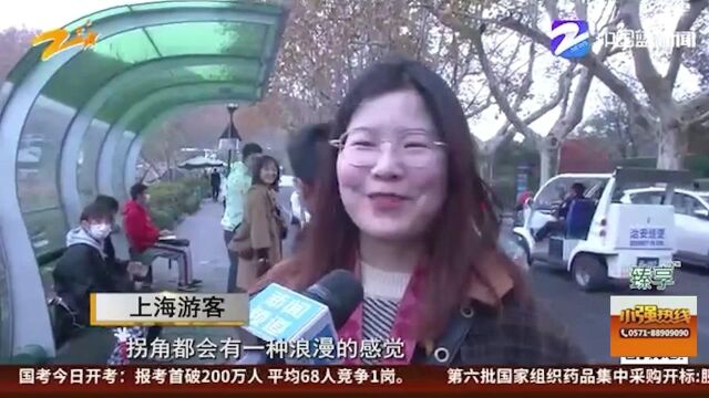 最是橙黄橘绿时:所见即所爱 秋日限定美景上线