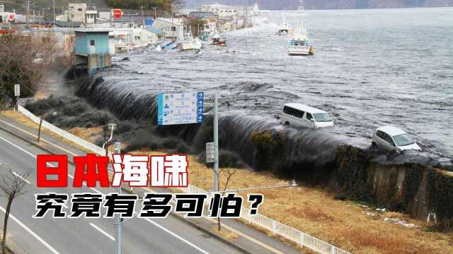 日本311海啸:究竟是怎么发生的?