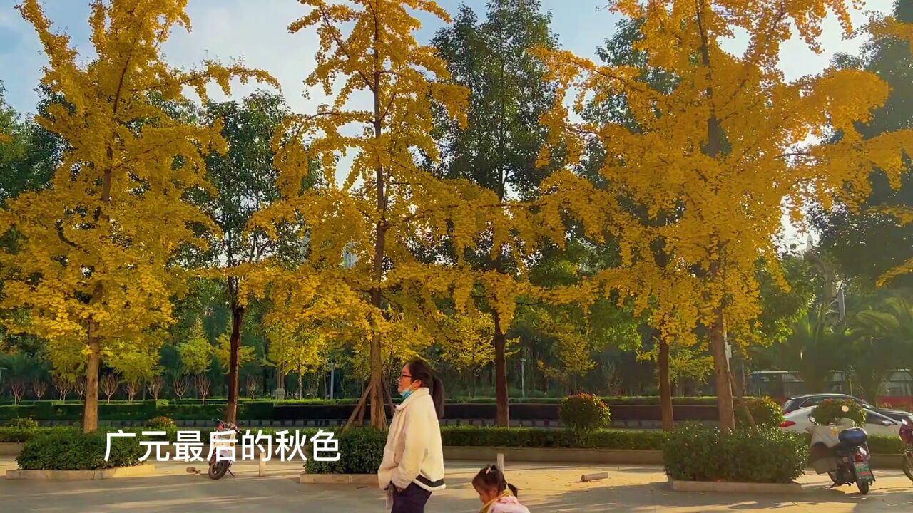 广元街景秋天最好看,每一帧都很美,这还是你我眼中的城市吗?