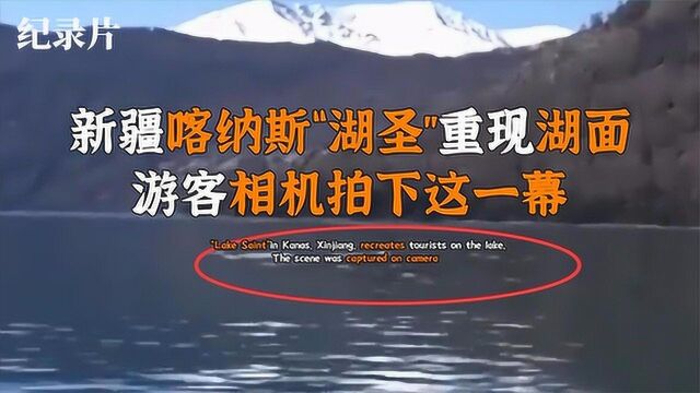 新疆喀纳斯“湖圣”浮出水面,近5层楼长,专家企图用网全力捕捉#好片推荐官#