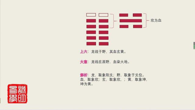 14这样讲易经,实在太清楚了,诚明易学坤卦上六详解:龙战于野,其血玄黄