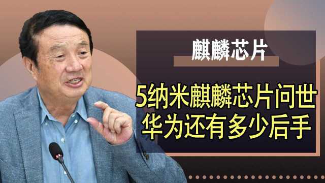 5纳米芯片再次登场,谁在背后支持华为?任正非的后手远不止这些