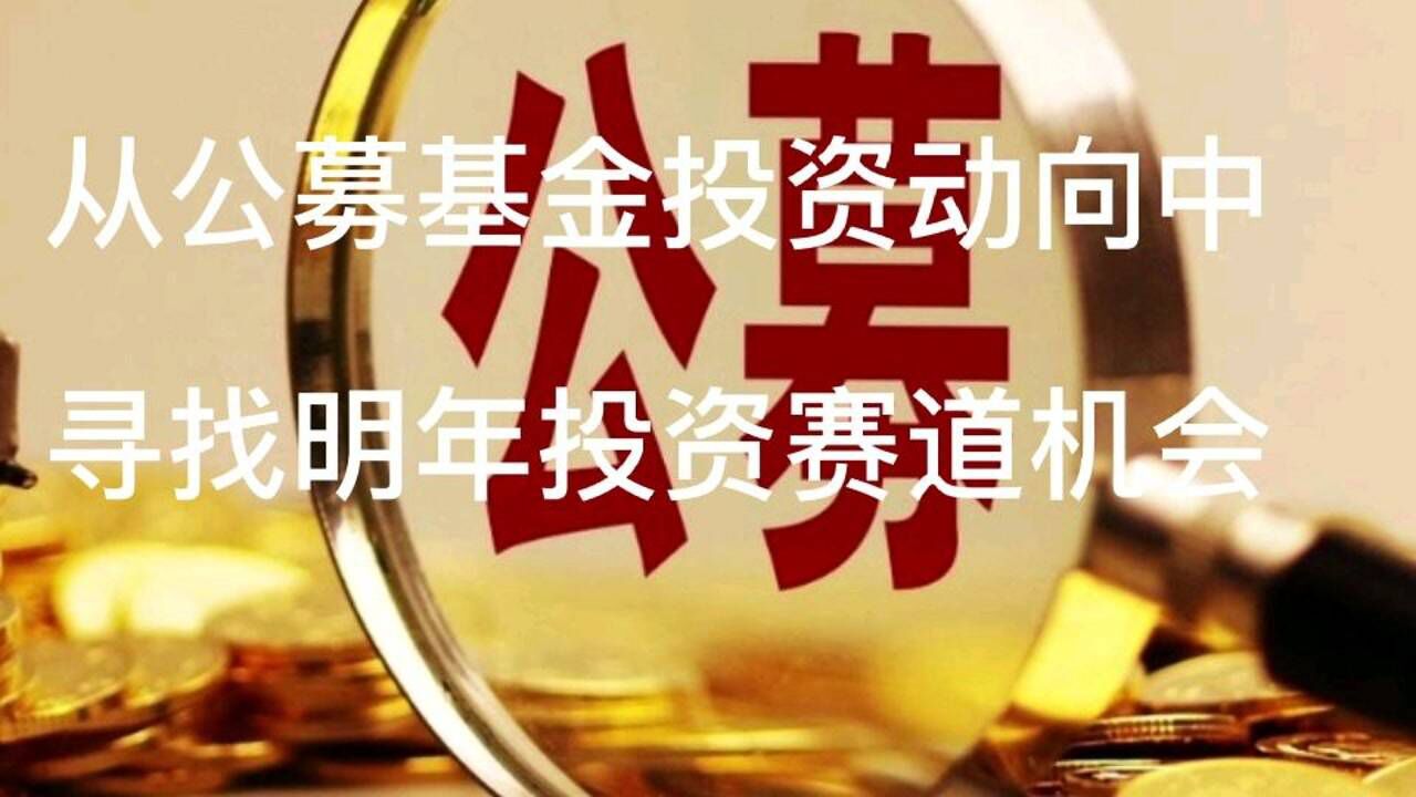 公募基金新发行规模与净值增长均领跑去年同期,从公募基金投资动向中寻找明年投资赛道机会