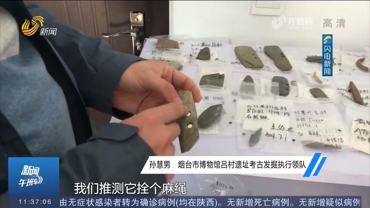 约87万平方米!烟台考古发现四千年前大型聚落遗址