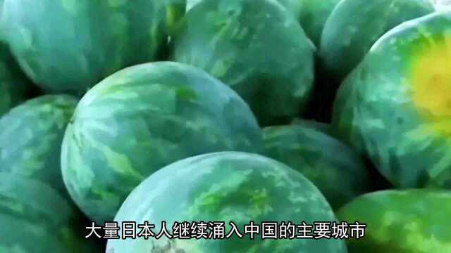 日本大量向世界各地移民,我国这3个城市移民最多,这是为何