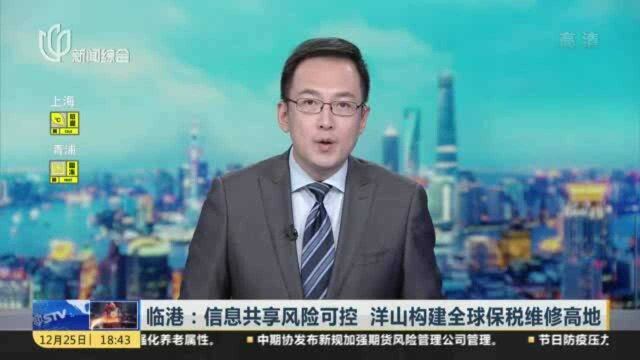 临港:信息共享风险可控 洋山构建全球保税维修高地