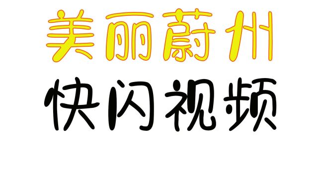 大美蔚县魅力蔚州快闪视频来啦