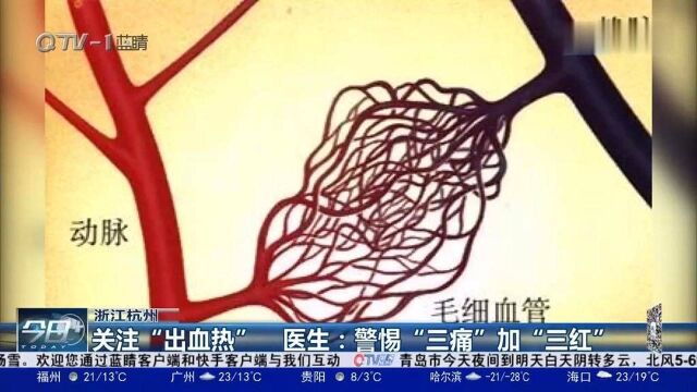 与感冒混淆的“出血热”是什么?医生:草莓不“背锅”